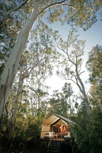 Australien - Paperbark Camp