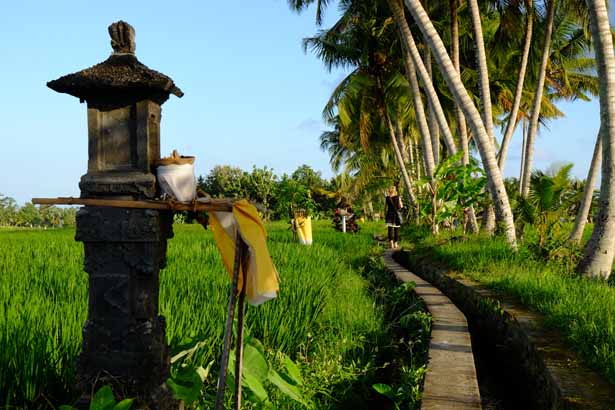 Indonesien - Bali Ubud Reis