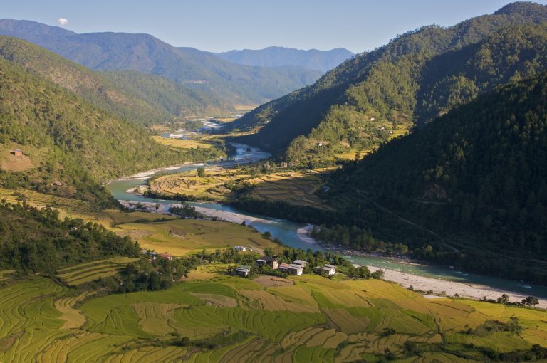 Bhutan Reisfelder