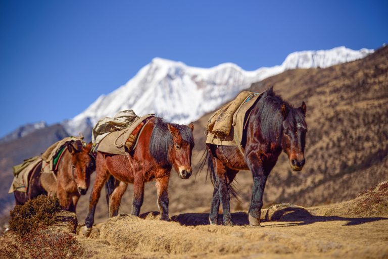 Bhutan Trekking