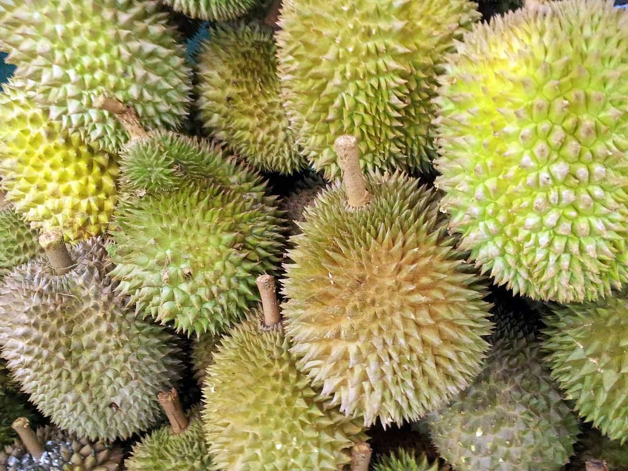 Südostasien - Durian