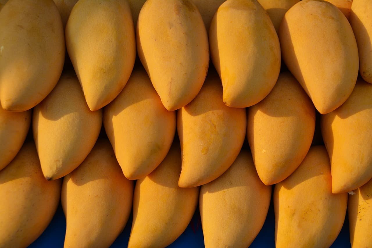 Gelbe Mango