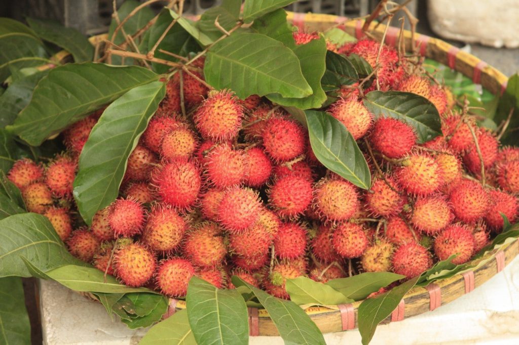 Südostasien - Rambutan