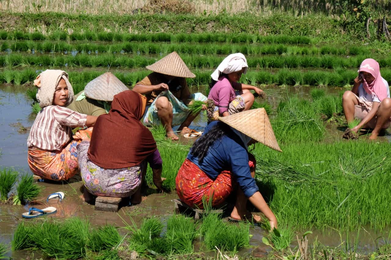 Indonesien - Rundreise Lombok