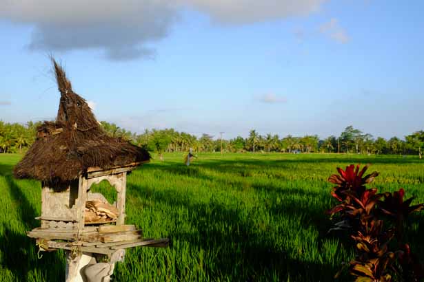 Indonesien - Ubud auf Bali