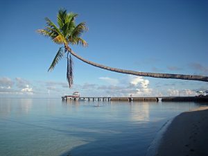 Sulawesi Wakatobi