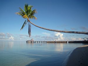 Sulawesi Wakatobi