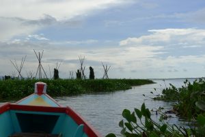 Sulawesi See