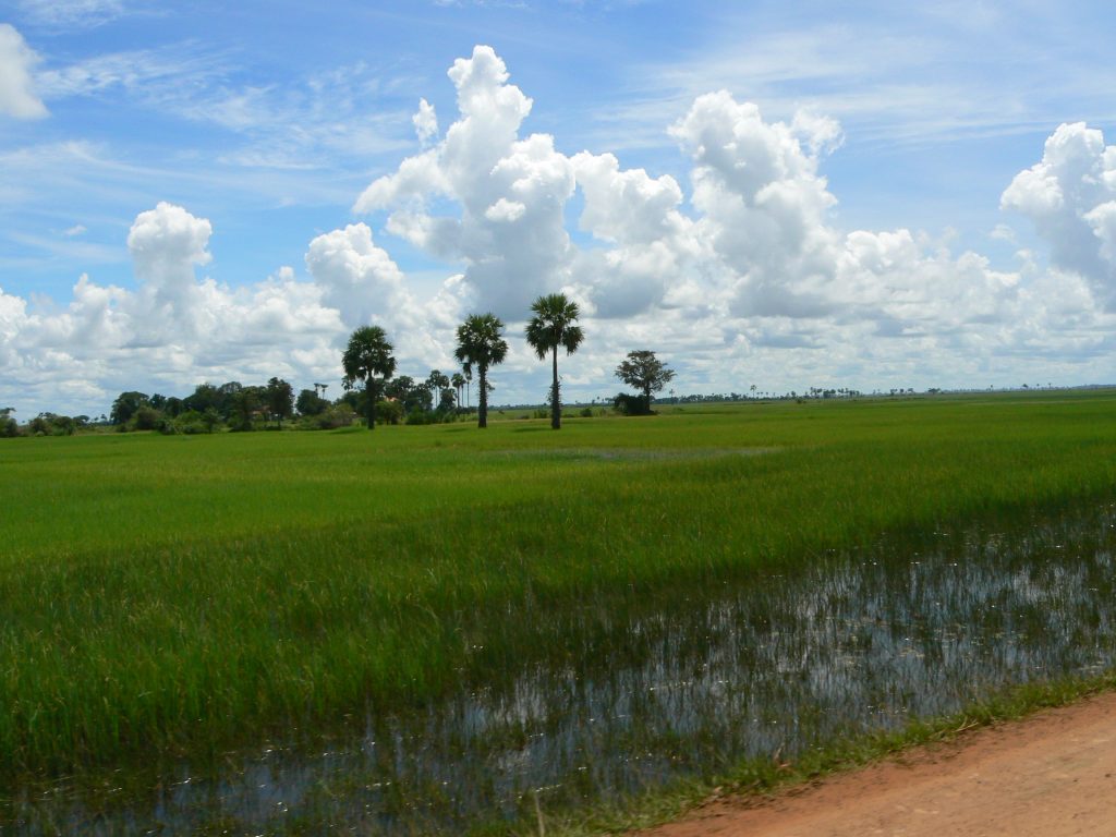Kambodscha Landschaft