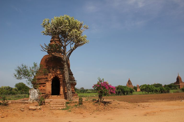 Bagan Trockenzone