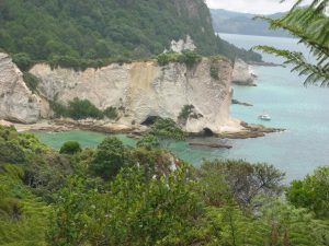 Neuseeland - Cathedral Cove - Coromandel