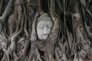 Ayutthaya Wat Maha That
