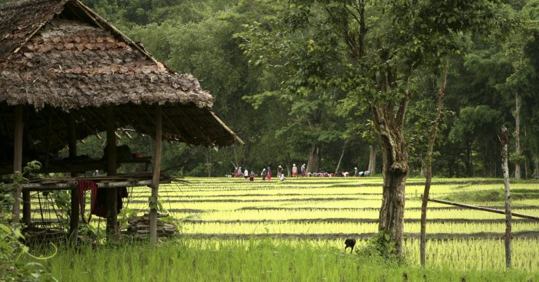 Chiang Mai