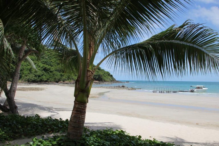 Koh Samet Ao Phrao Beach mit Palmen