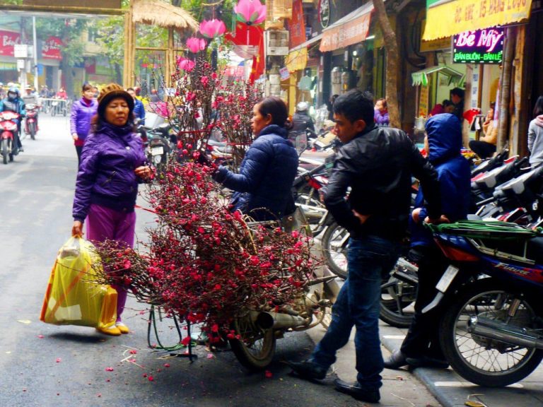Vietnam - Hanoi - Blumenmarkt zu Tet Fest