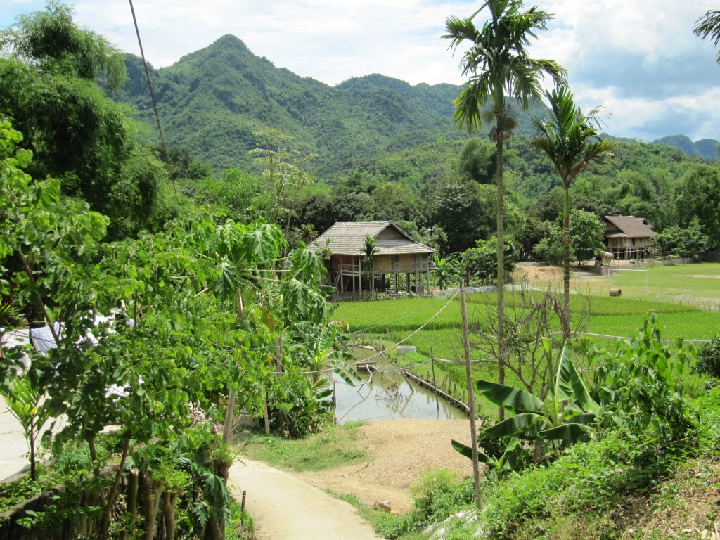 Holzhäuser in Reisfeldern vor Berglandschaft