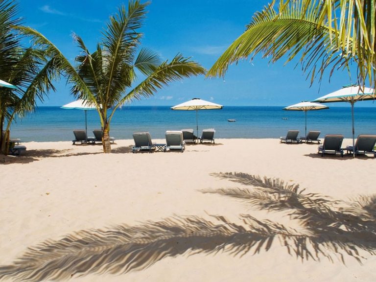 Vietnam - Phu Quoc - Strand - Palmen