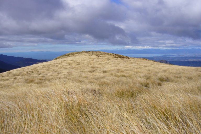 Neuseeland Landschaft