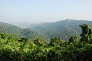 Thung Yai-Huai Kha Khaeng