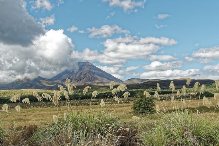 Tongariro