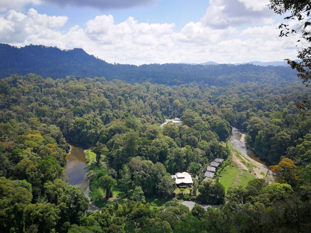 Malaysia Borneo Danum Valley Aussicht