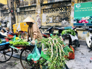 Vietnam Hanoi Gemüsefahhrad