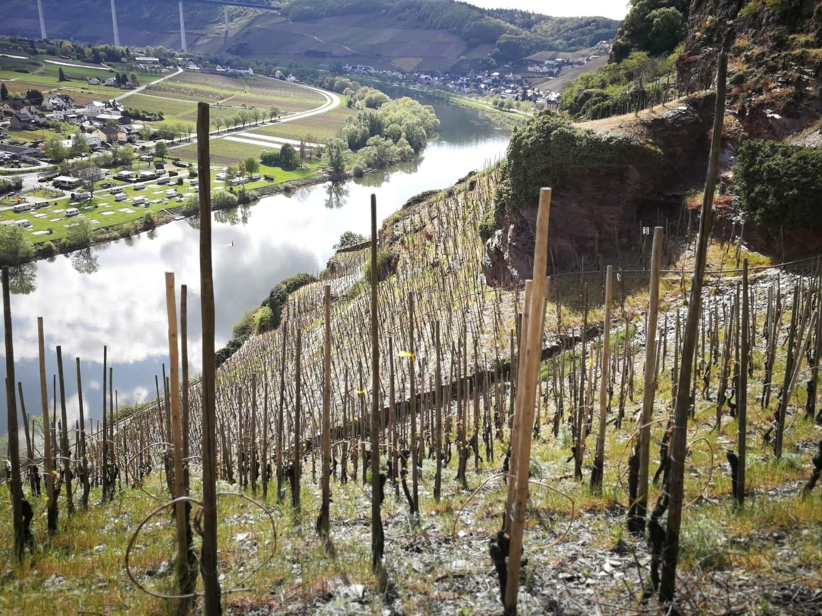 Weinregion Mosel Auf Den Spuren Der Romer Green Tiger Travel