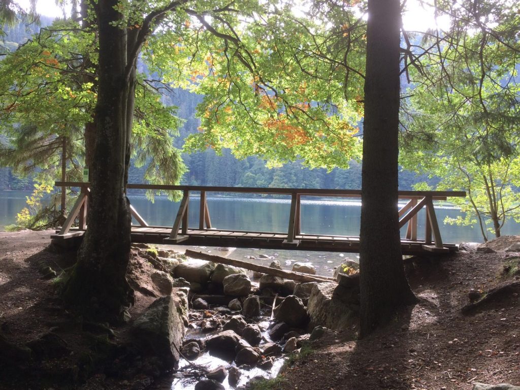 Schwarzwald Brücke