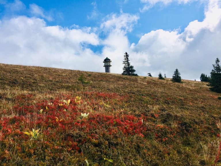 Schwarzwald Feldberg