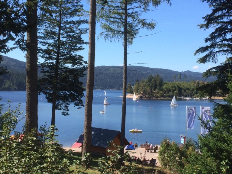 Schwarzwald Schluchsee mit Tretbooten