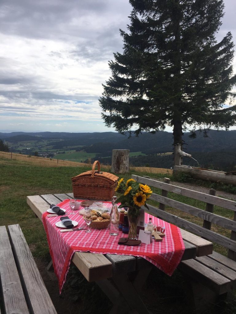 Schwarzwald Picknick Wald