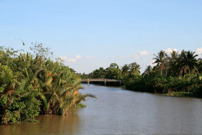 Mekong Delta Brücke