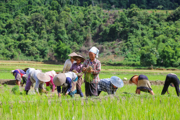 Laos Rundreisen