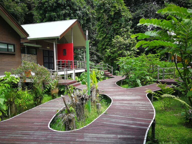 Gunung Mulu Nationalpark Boardwalk