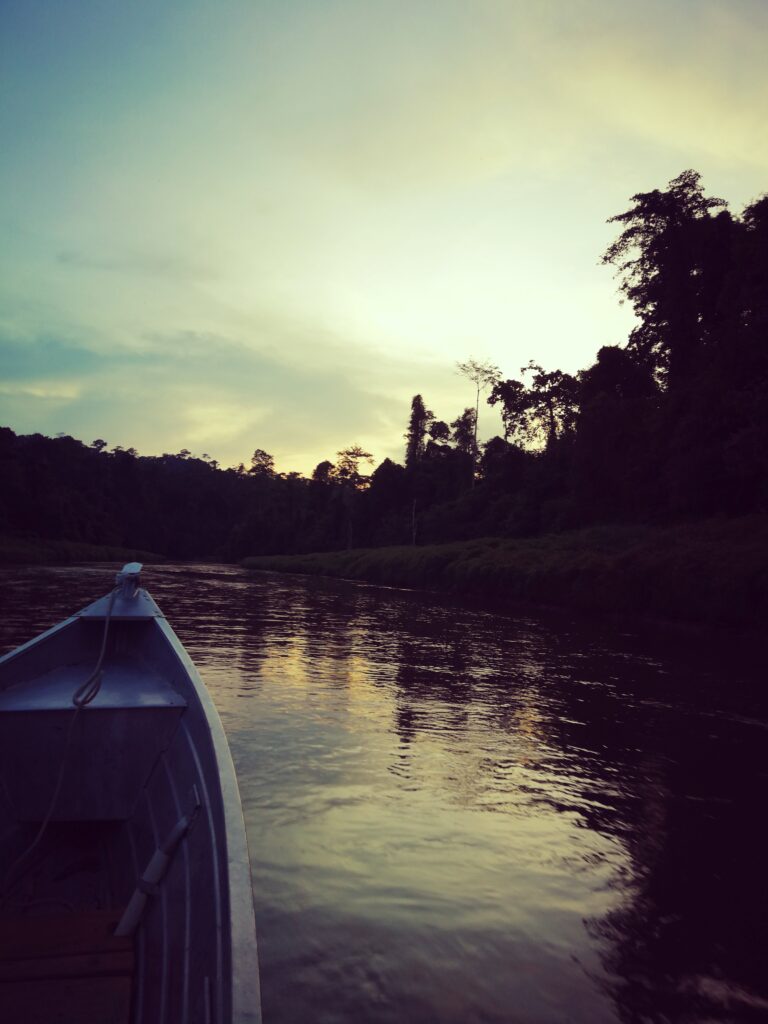 Ulu Muda Bootsour am Abend