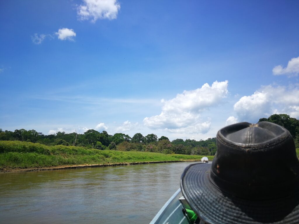 Ulu Muda Bootstour mit Blick auf Dschungel