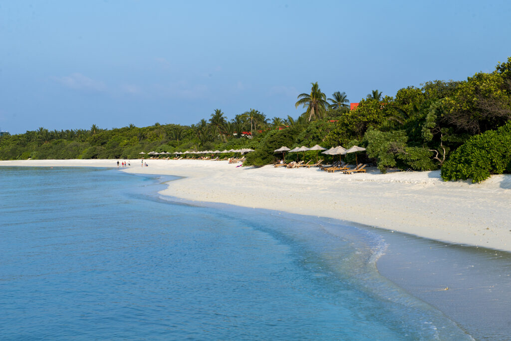 Malediven palmengesäumter Strand mit blauem Meer
