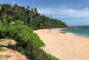Strandblick auf die Parrotfish Bay