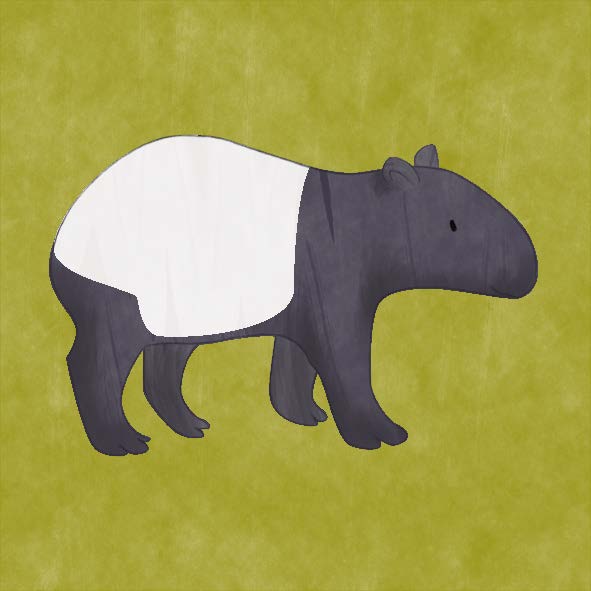 Tapir