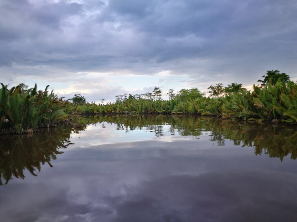 Tanjung Puting Nationalpark Fluss