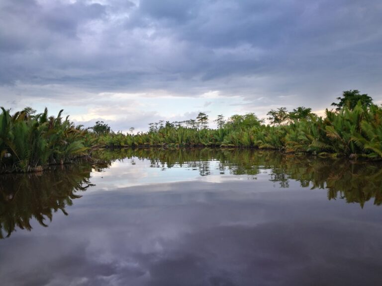 Tanjung Puting Nationalpark Fluss