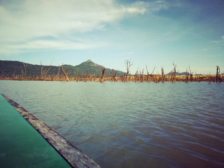 Gal Oya Nationalpark Bootstour