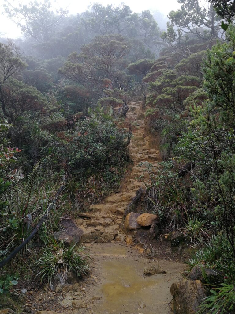 Kinabalu Park Wanderung Trail