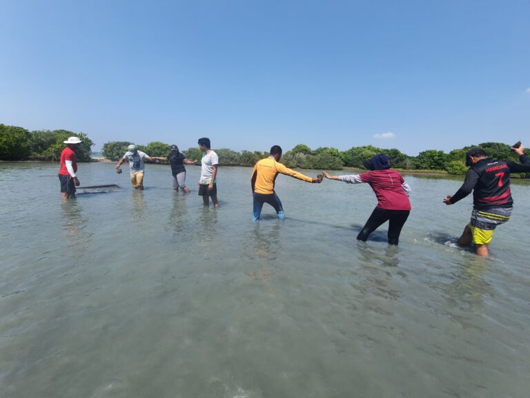 Freiweilligenarbeit Seagrass Restoration