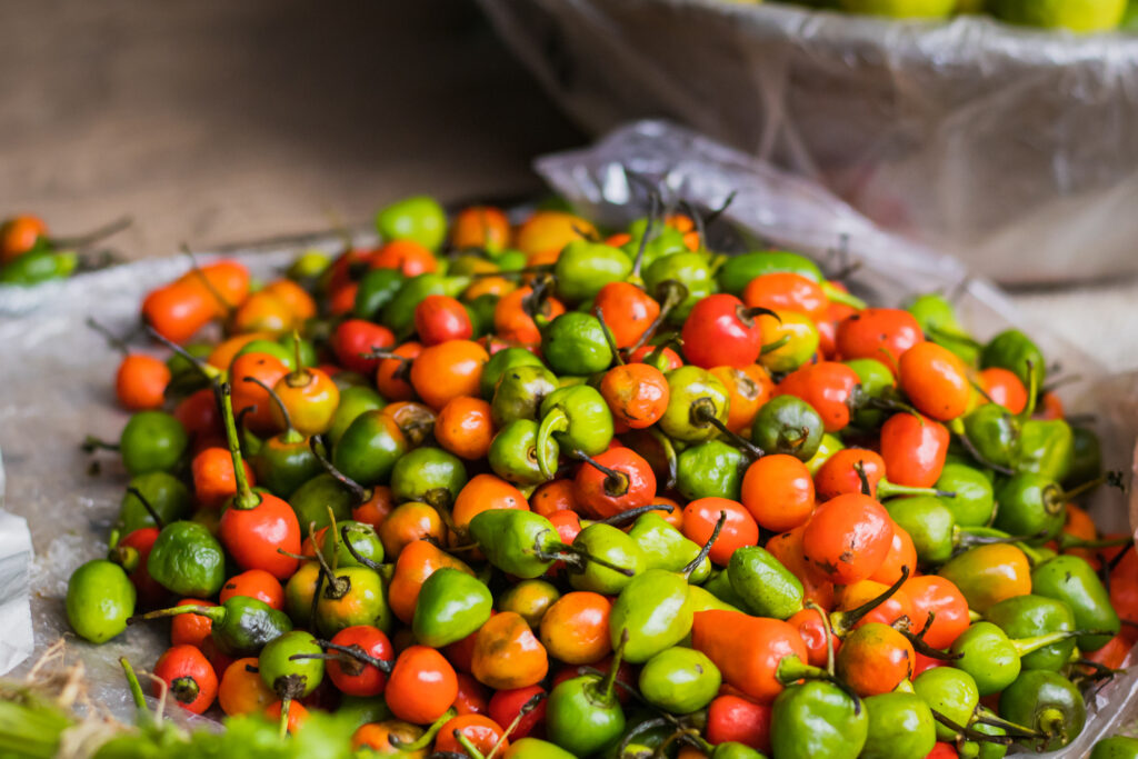 Kathmandu Bazar Chilli