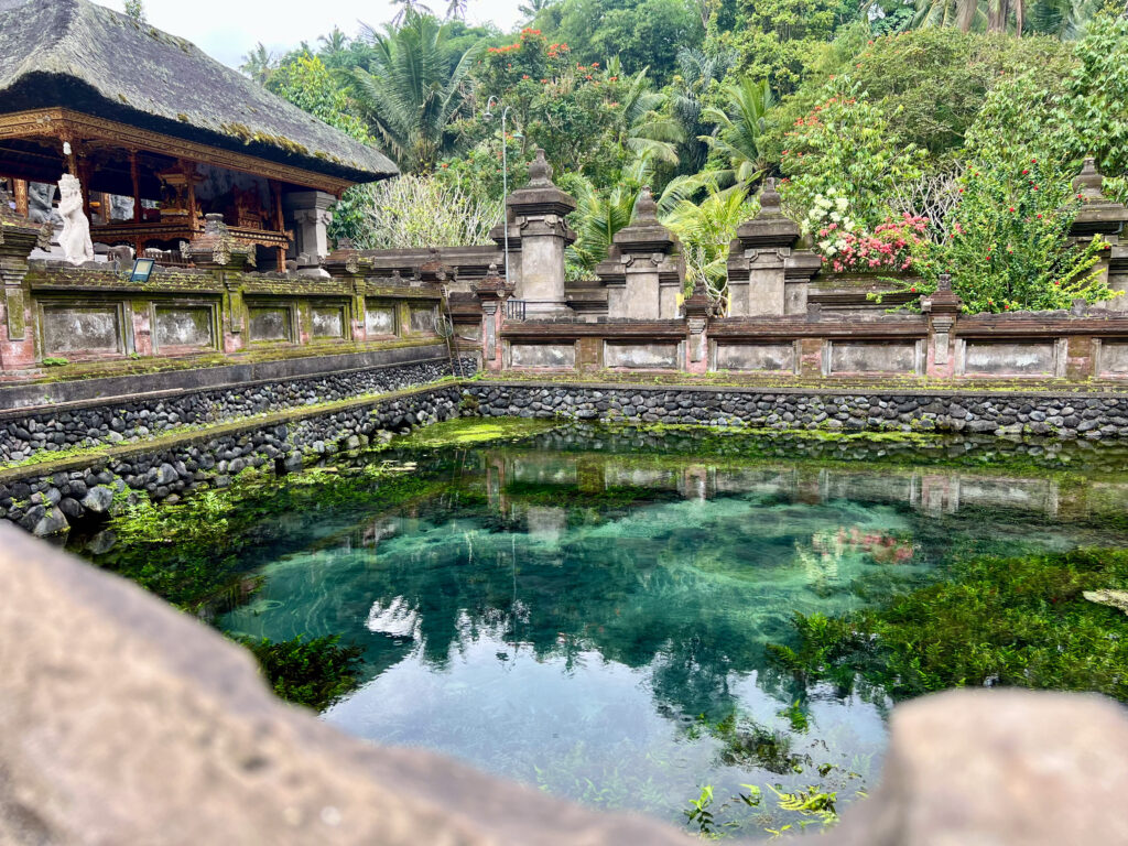 Bali Teich