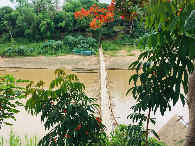Brücke über Fluss mit roten Blüten