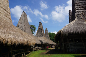 Sumba Kodi Rantenggaro Village Hütten Stpitzdächer Stroh