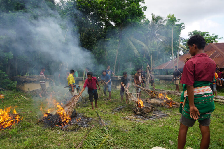 Sumba Tarimbang Beerdigungszeremonie Feuer Schweine