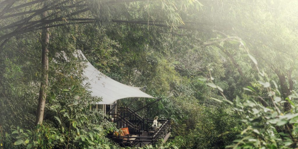 Four Seasons Tented Camp Golden Triangle Bungalow
